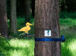 Duck, Field Target at Emley Moor for the BFTA Grand Prix