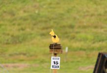 Music To Field Targets Ears